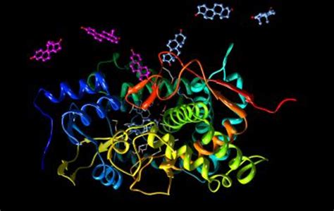 Aromatase, the Key Enzyme Need [IMAGE] | EurekAlert! Science News Releases