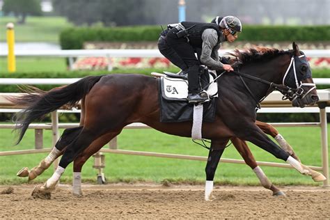 2023 Travers Stakes Cheat Sheet | America's Best Racing