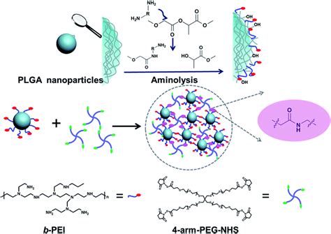 Synthesis and characterization of PLGA nanoparticle/4-arm-PEG hybrid hydrogels with controlled ...