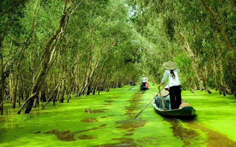 Khám phá 10 điểm đến cảnh đẹp ở an giang đẹp nhất