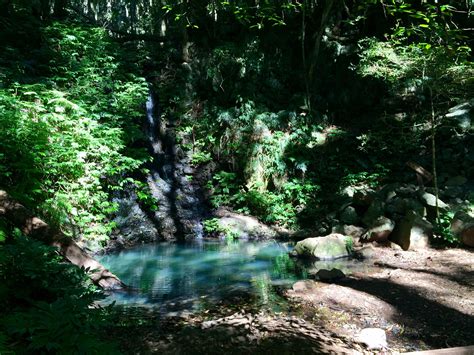 Tropical Rainforest, Queensland Australia, Submarine, Waterfall, River ...