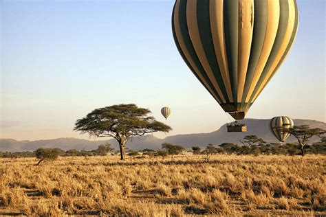 Serengeti Safari Holidays | Tanzania | Safari Guide Africa