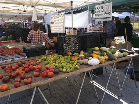 Torrance Certified Farmers' Market - Hospy Homes