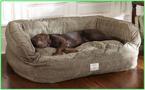 Designer Dog Beds For Large Dogs - Ideas on Foter