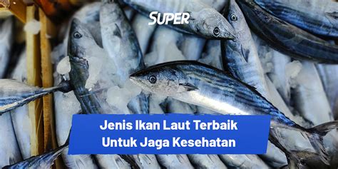 Ikan Laut