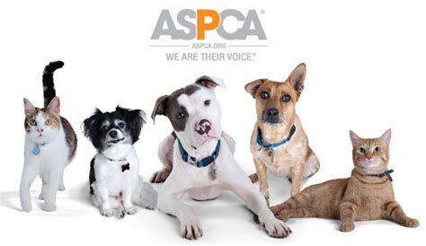 The ASPCA® Gives Animals A Voice All Year Round! - PCH Blog