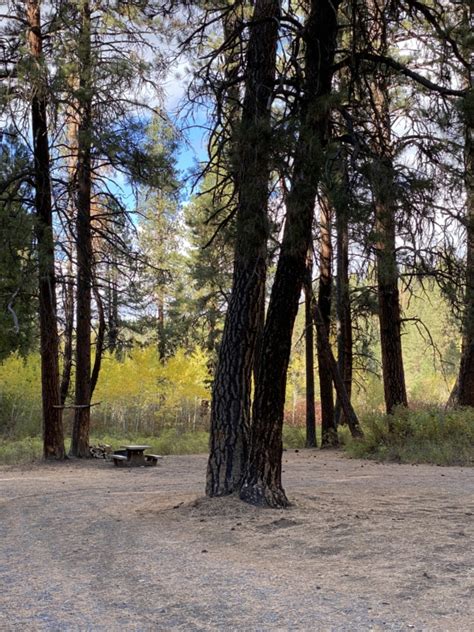 Wickiup Campground - Malheur National Forest OR - Living New Deal