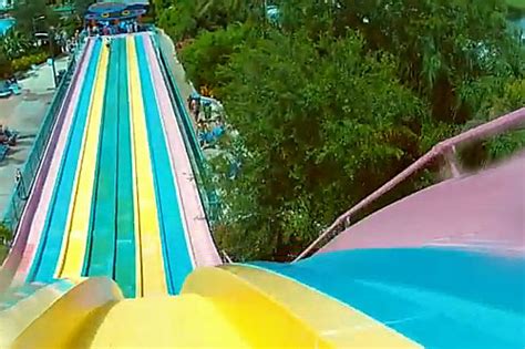 Aquatica Orlando Water Slides | Water Park Hotels Orlando