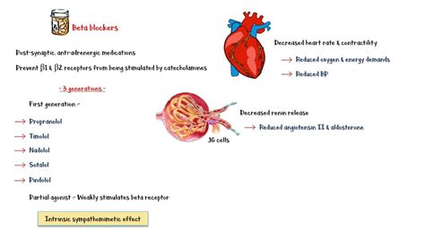 Beta Blockers _- Types, Mechanism Of Action, - One News Page VIDEO