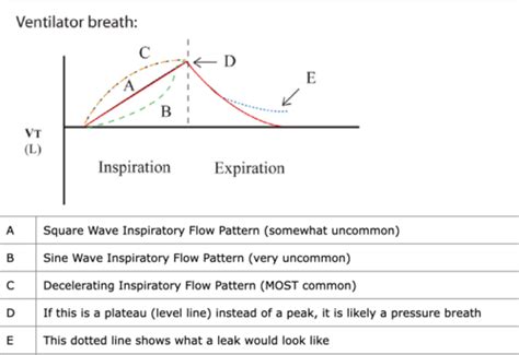 (4.) Waveform Analysis Flashcards | Quizlet