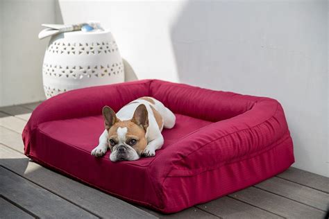 Bolstered TUFF Chew-Resistant Orthopedic Dog Bed – Best of Dog