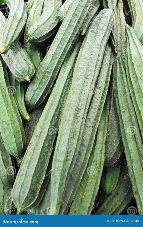 Towel gourd stock image. Image of gourd, towel, organic - 6870293