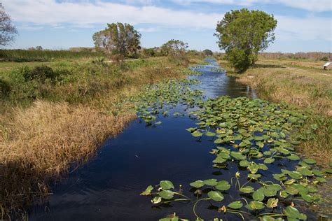 National Wildlife Refuge? National Park? National Preserve? …What’s The Difference? | WUSF News