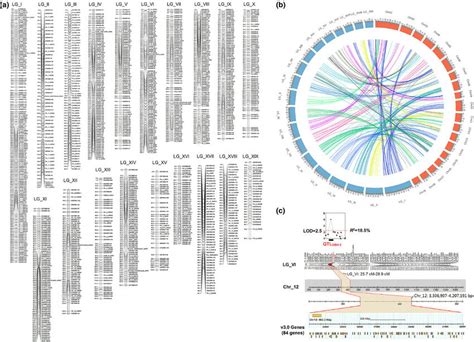 Construction of a high-resolution linkage map and comparison with the ...