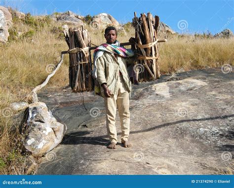 Native Malagasy Man Editorial Image - Image: 21374290