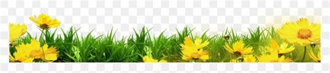 Template Clip Art, PNG, 2505x567px, Border Flowers, Commodity, Creative Services, Floral Design ...