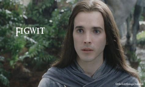 [Image - 205747] | Figwit | Know Your Meme