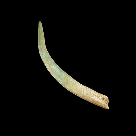 Ancient Implements : A Steppe culture horse's cheek piece fashioned from antler