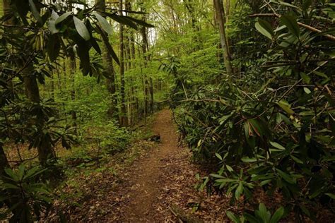 Bluestone State Park in Hinton | West Virginia | State park