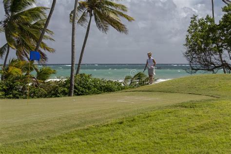 Golf - Chip stock photo. Image of senior, island, rocks - 527650