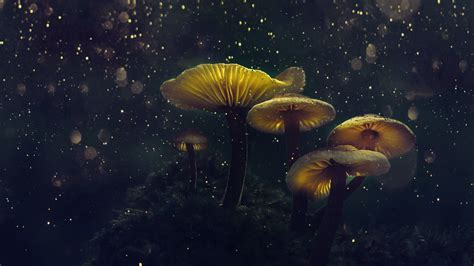 Download wallpaper 1920x1080 mushroom, yellow glow, flower top, glitter ...