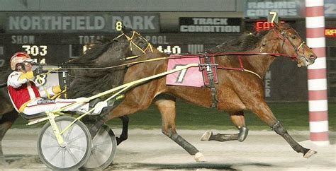 Horse racing law expert Renee Mancino to head Ohio harness racing group -- Horse Racing Insider ...