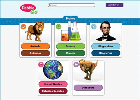 Pebblego For Kids | Kids Matttroy