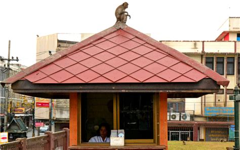 Visitng the Loburi Monkey Temple in Thailand - The Travel Blogs