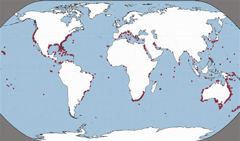 Unprovoked Shark Attack Interactive Map – International Shark Attack File