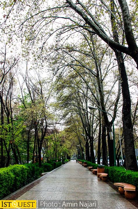 Tehran Parks: A walk through in the Spring | 1stQuest Blog