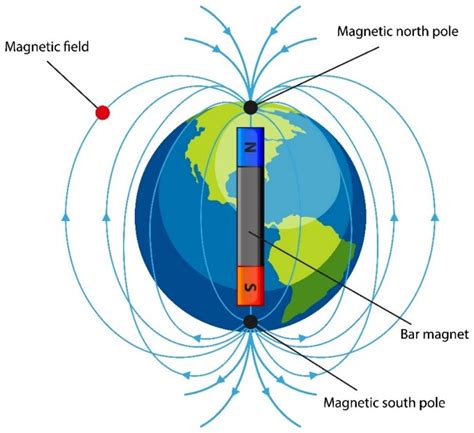 Il campo magnetico terrestre: effetti sugli esseri viventi