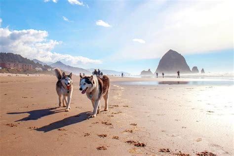 10 Most Popular Beaches on the U.S. West Coast