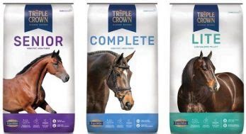 7 Best Horse Feed Brands for Horse Owners (2021)