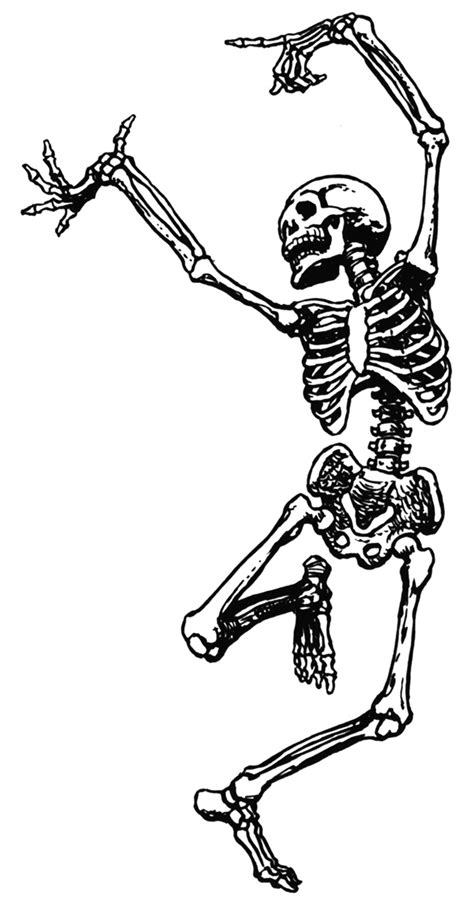 Halloween Skeleton Cartoon - Cliparts.co