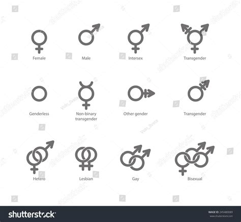 Vector Outlines Icons Gender Symbols Combinations Stock Vector (Royalty Free) 245480089 ...