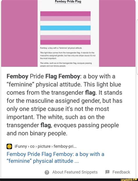 Pride Flag pecgía ad non bears pee Femboy Pride Flag Femboy: a boy with a "feminine" physical ...