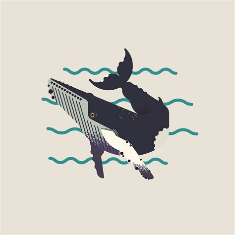 Vector Animals :: Behance