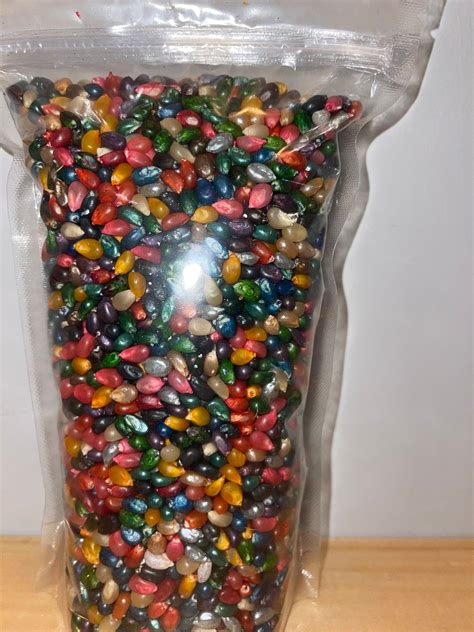 Colored Popcorn Seeds/ Multi Color - Etsy