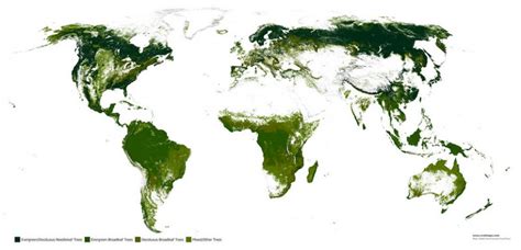 The World's Forests Mapped - Vivid Maps