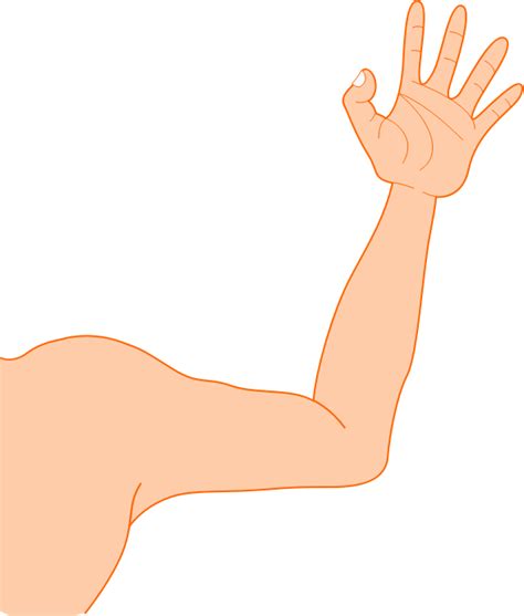 Fingers clipart left hand, Fingers left hand Transparent FREE for ...