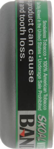 Skoal Bandits Wintergreen Chewing Tobacco Pouches, 1 ct - QFC