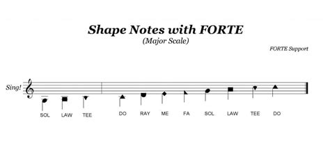 Writing Shape Notes with FORTE [Updated for 2019] | Forte Notation