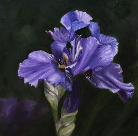 Iris paintings search result at PaintingValley.com