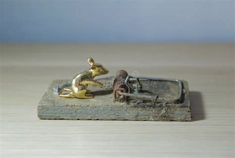 Gold mouse trap. stock image. Image of concept, cutout - 10511959