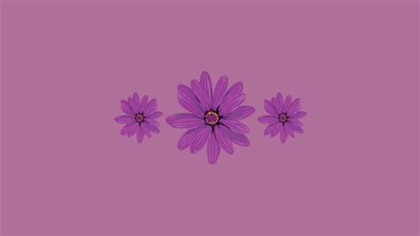 Download Minimalist Cute Purple Aesthetic Flowers Wallpaper | Wallpapers.com