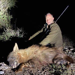 Brown Hyena Hunt | AfricaHunting.com