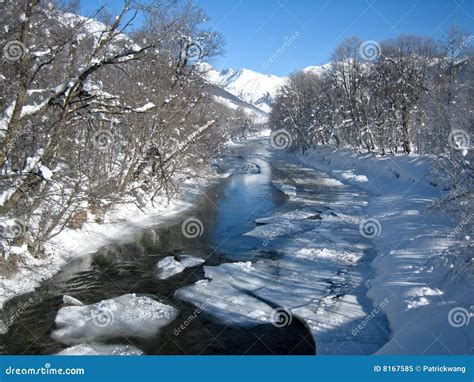 Winter Scene in Switzerland Stock Image - Image of switzerland, landscape: 8167585