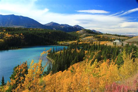 Skagway Bus Tours: Yukon Discovery Tour | Southeast Tours