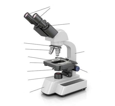 Biologie - Aufbau des Mikroskops Diagram | Quizlet
