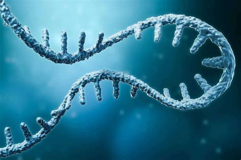 Human cells can write RNA sequences into DNA